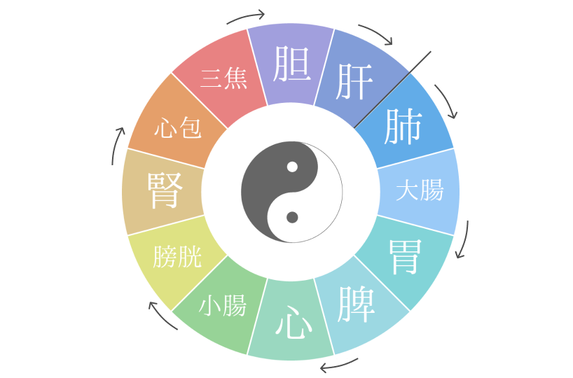 十二経絡で治癒スイッチを入れる～フルオーダーメイドの要～