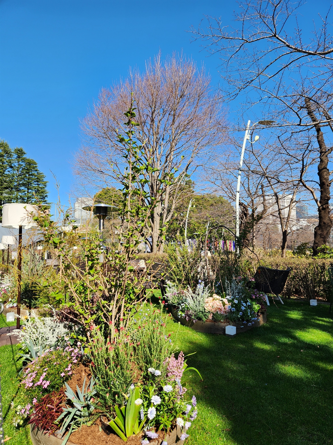 花粉症・だるい・肌荒れ…春に不調が重なる理由